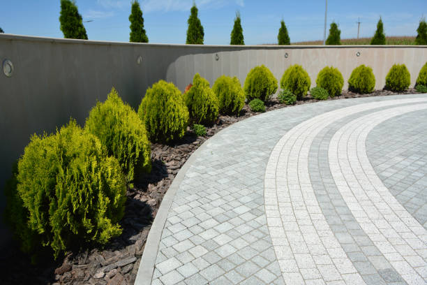 Best Residential Paver Driveway  in Pinetop Lakeside, AZ